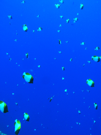 b0062363_23463571.jpg