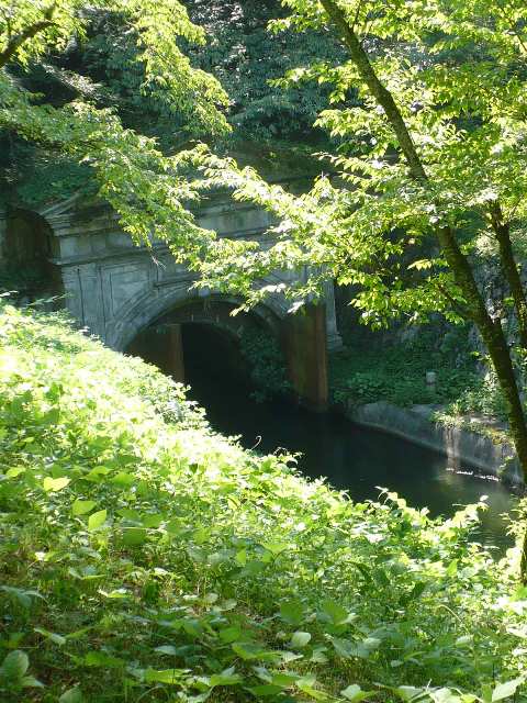 a0063364_141965.jpg