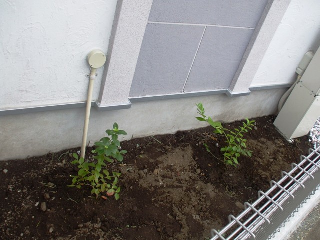 f0131165_21504591.jpg