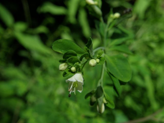 c0042869_204739.jpg