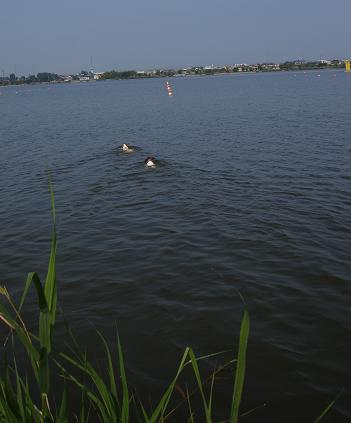 f0132772_202335.jpg