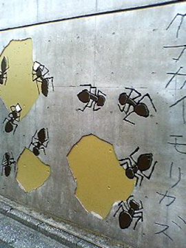 f0054677_7464491.jpg