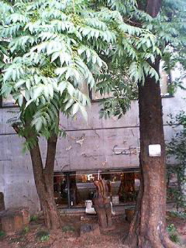 f0054677_747147.jpg