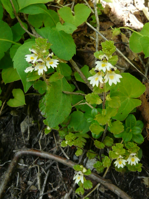 e0145782_20311727.jpg