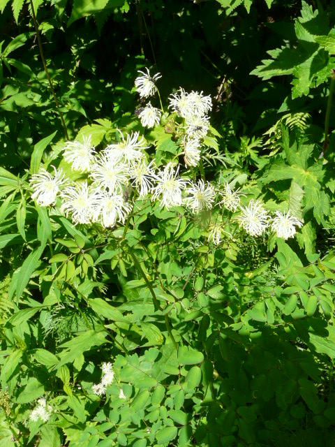 e0145782_2032194.jpg