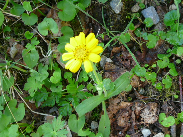 e0145782_20324048.jpg