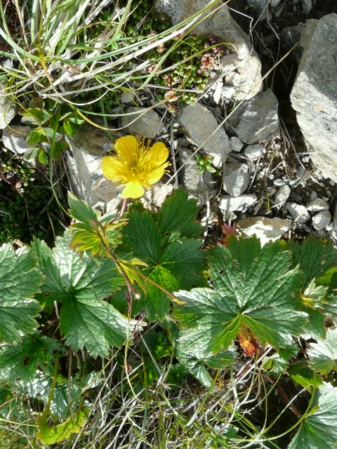 e0145782_20434680.jpg