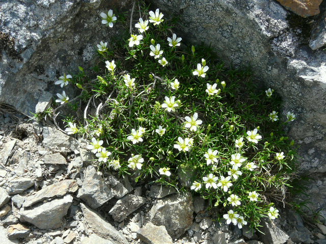 e0145782_20451710.jpg
