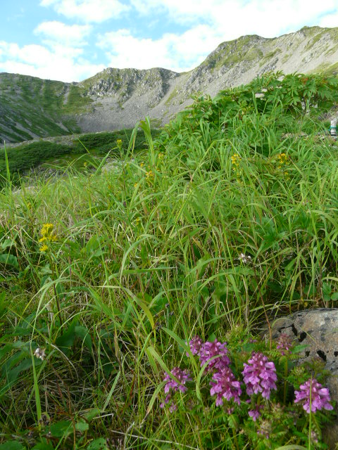 e0145782_2132294.jpg