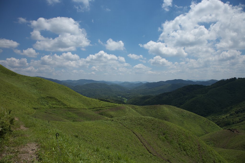 a0076683_19354454.jpg
