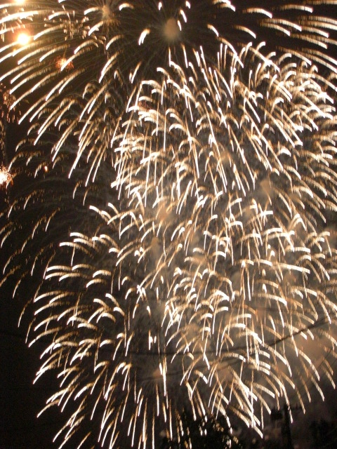 b0122883_2244546.jpg