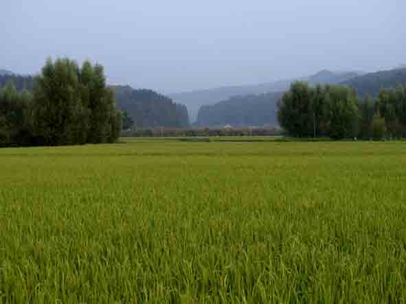 d0088788_2159886.jpg