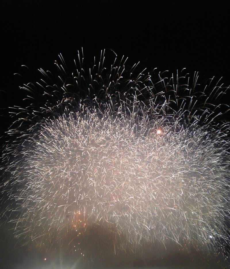 d0061489_1584872.jpg