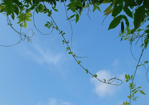 b0119493_21521072.jpg