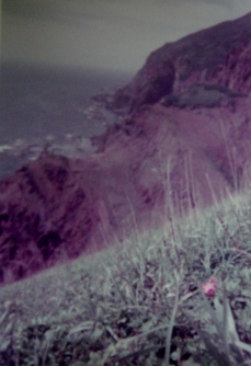 e0111793_15304216.jpg