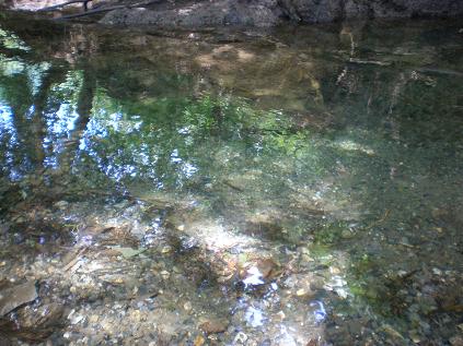 c0087305_113383.jpg