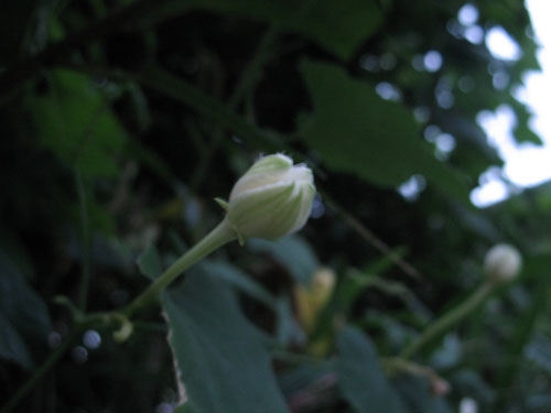 b0014607_217090.jpg
