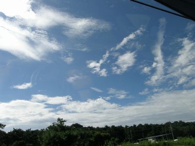 b0061107_2254999.jpg