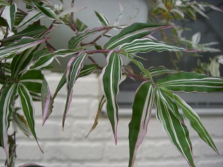 c0117007_212272.jpg