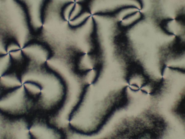 c0164709_21154991.jpg