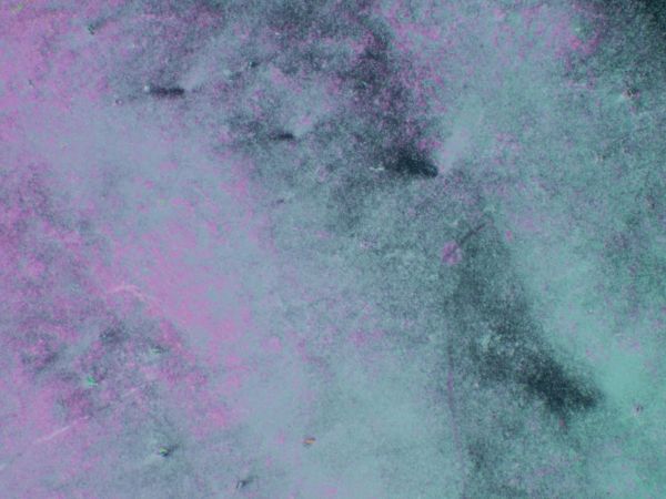 c0164709_2118896.jpg
