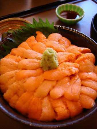 a0068810_1872996.jpg