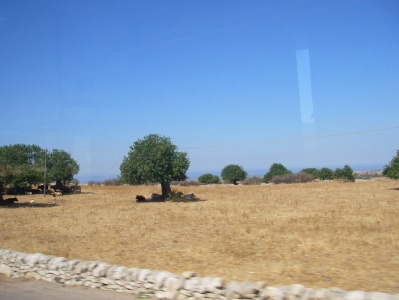 f0133814_8411987.jpg