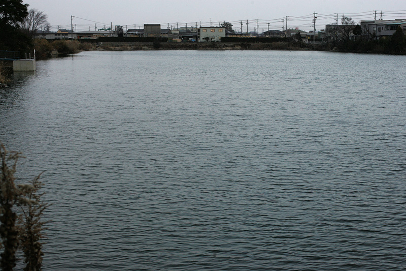 f0161823_16505269.jpg