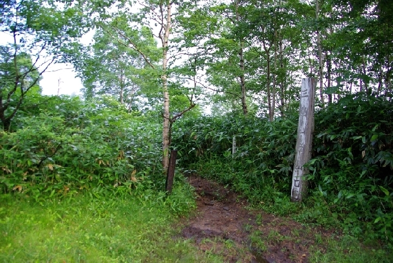 b0062024_23341833.jpg