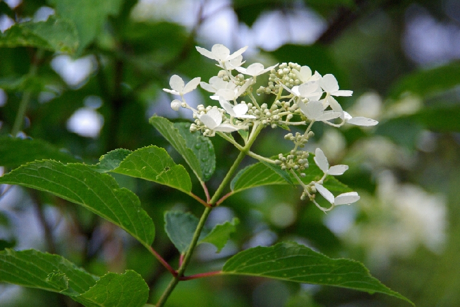 b0062024_23394121.jpg