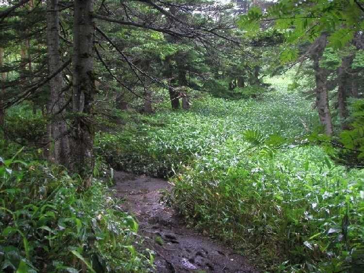 b0062024_23483919.jpg