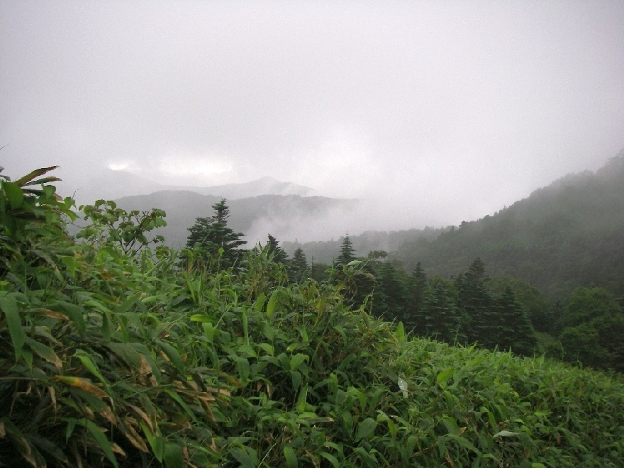 b0062024_23525621.jpg