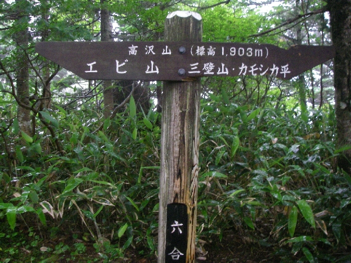 b0062024_23574017.jpg