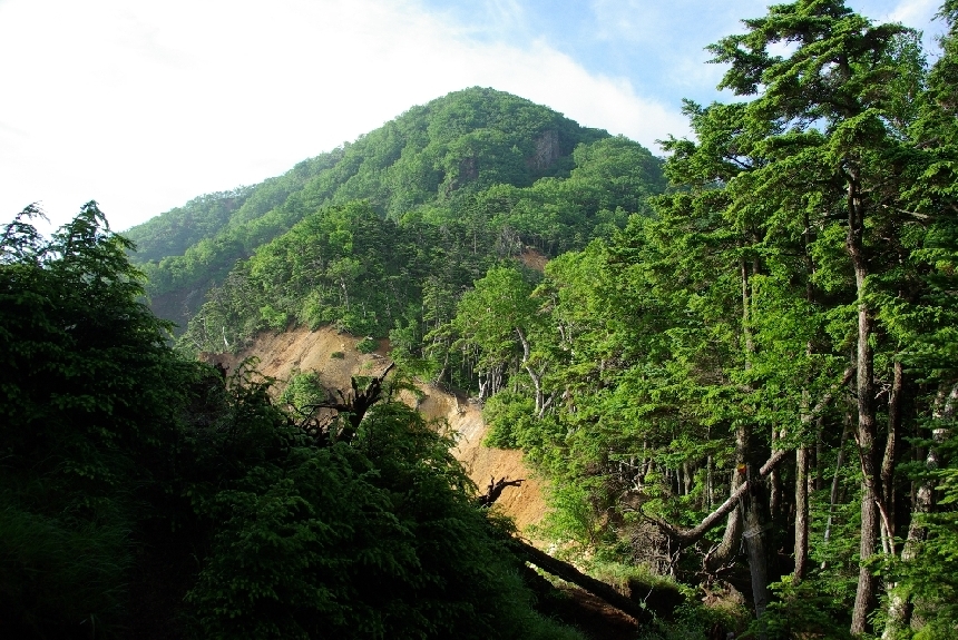 b0062024_5225060.jpg