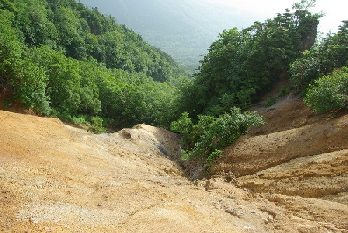 b0062024_5231235.jpg