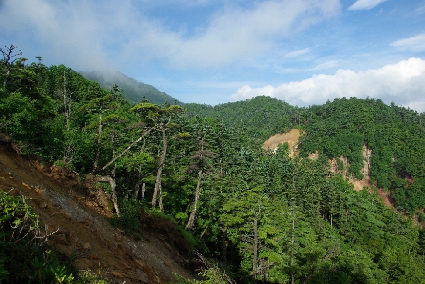 b0062024_5372370.jpg