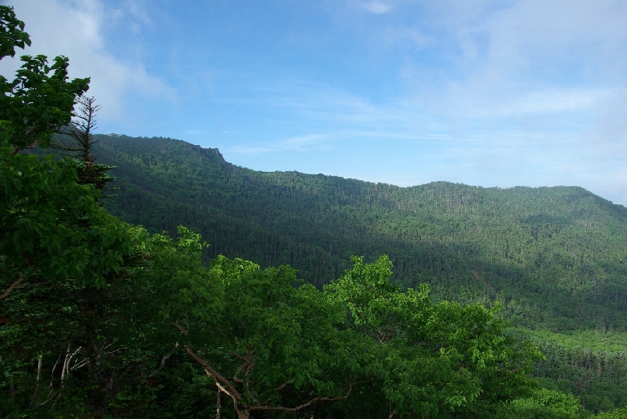 b0062024_5455520.jpg