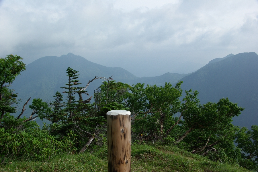 b0062024_552173.jpg