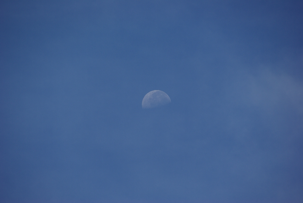 b0062024_5561748.jpg