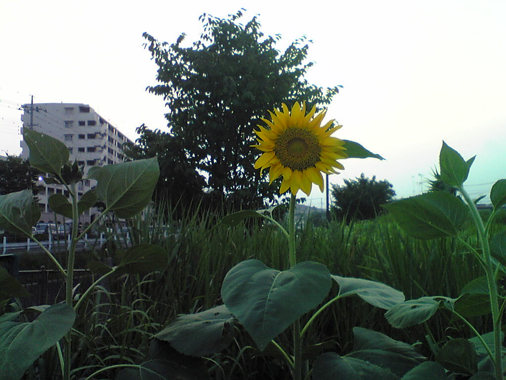 f0107724_21244877.jpg