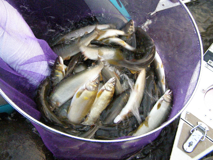 f0103126_221537.jpg