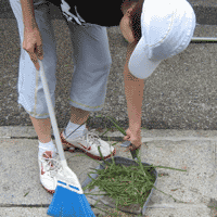 d0033734_1441549.gif