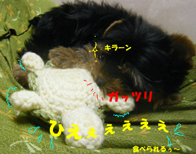 f0008935_1134171.gif
