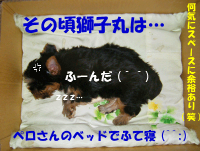 f0008935_1141180.gif