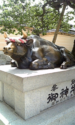 d0067640_22125611.jpg
