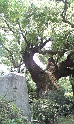 d0067640_2220540.jpg