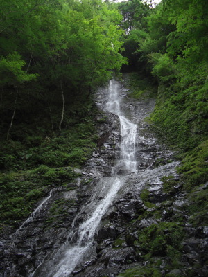 e0020945_14301164.jpg