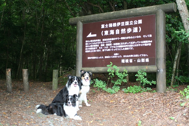 e0111449_22431580.jpg