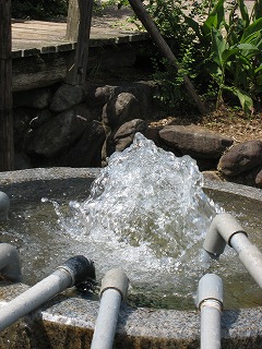 d0078060_1459515.jpg