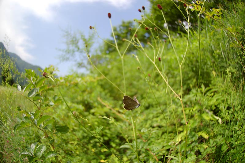 c0043361_22432791.jpg